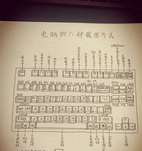 全面了解新到的电脑使用教程（从入门到精通，轻松掌握新电脑操作技巧）