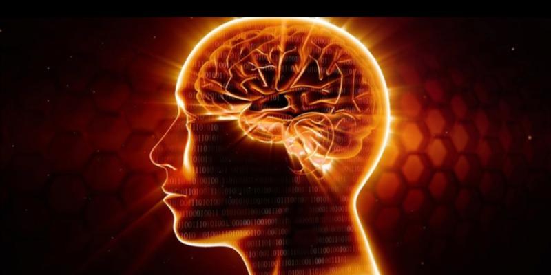 控制大脑，驾驭自我（掌握大脑机制，操控自身行为）