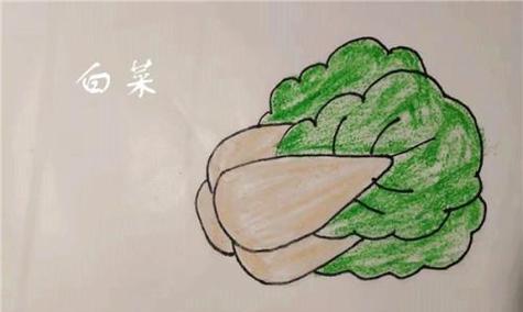 用大白菜修复XP系统的完整教程（简单易行的方法让你的XP系统重获新生）