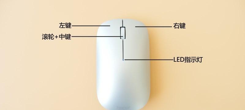 笔记本鼠标教程（从零基础到熟练掌握，轻松操作笔记本鼠标）