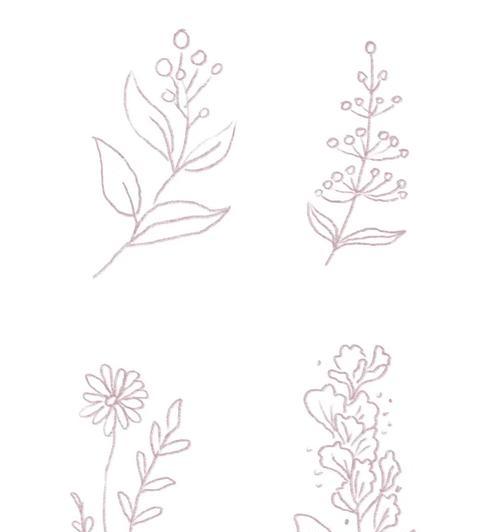 电脑植物手绘入门教程（通过数字绘画，学习如何创造栩栩如生的植物插画）