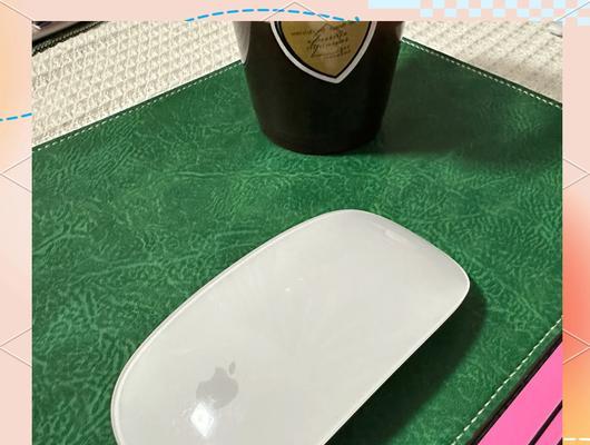 苹果电脑鼠标使用教程（快速掌握苹果电脑鼠标的使用技巧）
