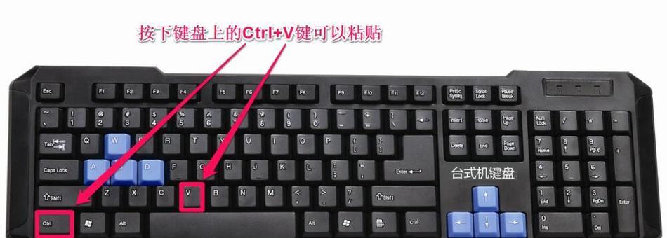 电脑基础（掌握电脑操作的基本功，轻松应对粘贴复制任务）
