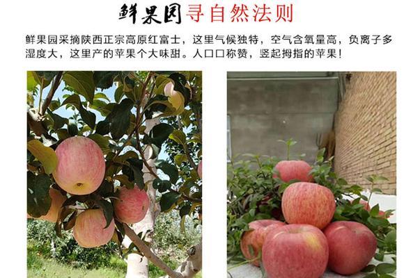 教你如何连接苹果手机与水果电脑（简单易懂的连接教程，让你轻松同步数据）
