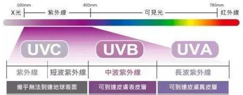 如何利用紫光灯在电脑上拍摄高质量照片（紫光灯照片电脑拍照教程）