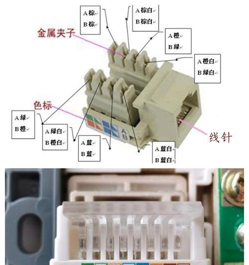 以网线连接电脑的完整教程（一步一步教你如何使用网线连接电脑并享受高速稳定的网络连接）