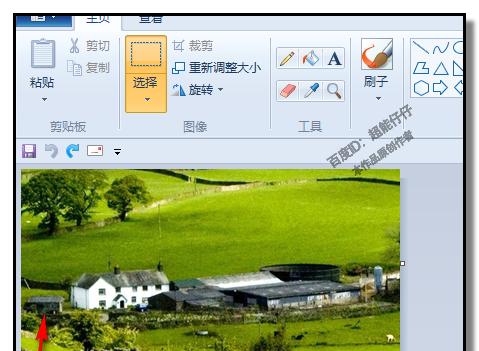 电脑上如何复制粘贴照片？（教你如何使用电脑轻松复制和粘贴照片）